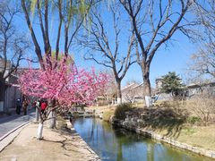 -三里河公园