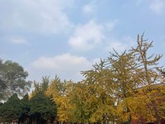 -辽宁大学(崇山校区)