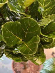 -Hair Co.一间沙龙