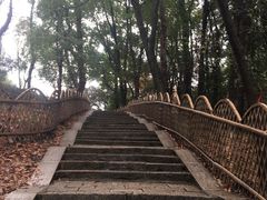 -灵岩山风景区