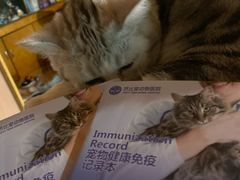 -芭比堂动物医院(广州爱宠下渡路分院)