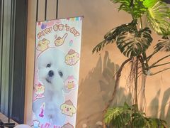 -J Create城市露营咖啡·简餐·宠物(上海动物园店)