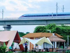 -光明小镇欢乐田园