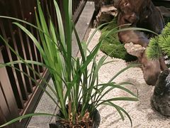 -溪畔•新徽菜(碧湖云溪店)