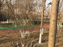 -东升文体公园