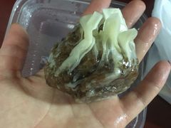 -217笋干馄饨