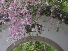 -深圳国际园林花卉博览园