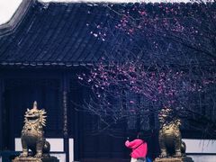 -八大山人梅湖景区