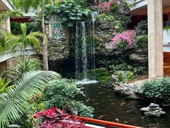 -广州白天鹅宾馆