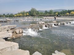 -永定河休闲森林公园