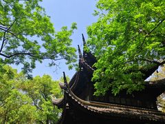 -西园寺素食(西园弄戒幢律寺店)
