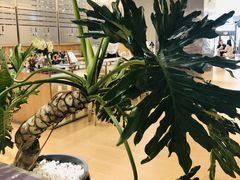 -gaga(深圳福田星河COCO Park店)