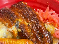 红生姜-食其家·牛丼咖喱(广元西路店)