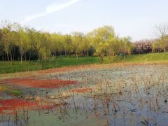 -蜀冈西峰生态公园