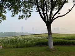 -苏州湾体育公园