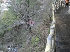 -秦岭风景区