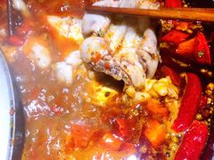 -销魂美蛙鱼头火锅(上海首店)