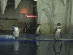 -太平洋海底世界