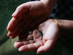 -三江森林温泉度假区