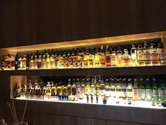 -麥坊俱樂部Maltfun Club