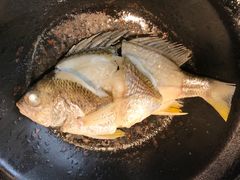 油盐焗海立鱼-百味馆·粤菜·湛江菜(后海花园店)