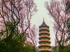 -灵谷景区