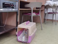 -瑞派宠物医院·中兽医专科(中央商城分院)