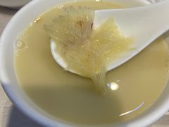 -凤城礼记鱼翅海鲜酒家(新马路总店)