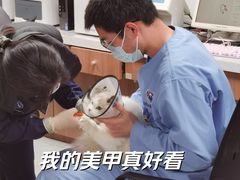 -北京派仕佳德动物医院·超导核磁·CT·神经科·骨科·内外科·急重症管理中心