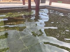 -望儿山温泉水乐园