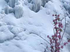 -黑龙潭风景区