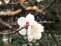 -长广溪湿地公园