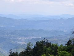 -天目山大树王景区