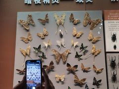 -天津自然博物馆