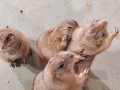 -正佳雨林生态植物园
