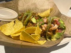 -油梨树 AVOCADO TREE(亮马桥店)