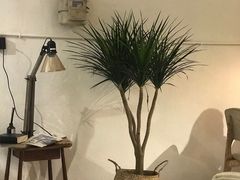 -甘单茶事小馆(洋河店)