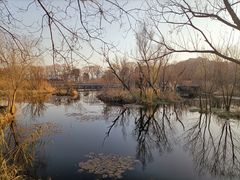 -西湖风景区-江洋畈生态公园