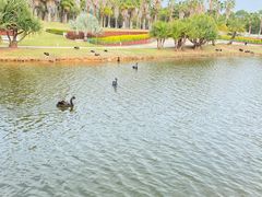 -厦门国家会计学院