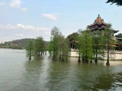 -顺峰山公园