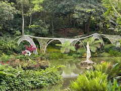 -深圳仙湖植物园