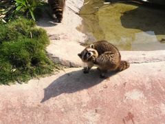 -泉州海丝野生动物世界