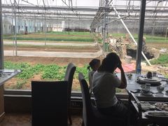 -1369冰火锅(木北路店)