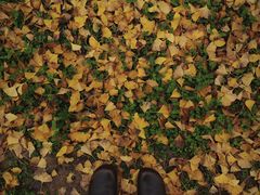 -汉长安城未央宫国家考古遗址公园