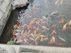 -梅园