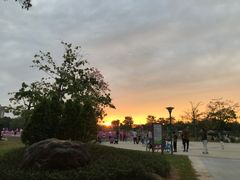 -二沙岛艺术公园