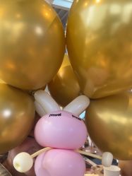 -头号顽家·萌宠生日派对·轻奢策划(前滩店)