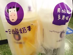 -一只酸奶牛(八一路店)