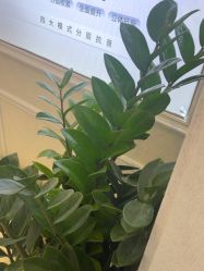 -武汉五洲整形外科医院