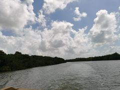 -东寨港红树林旅游区